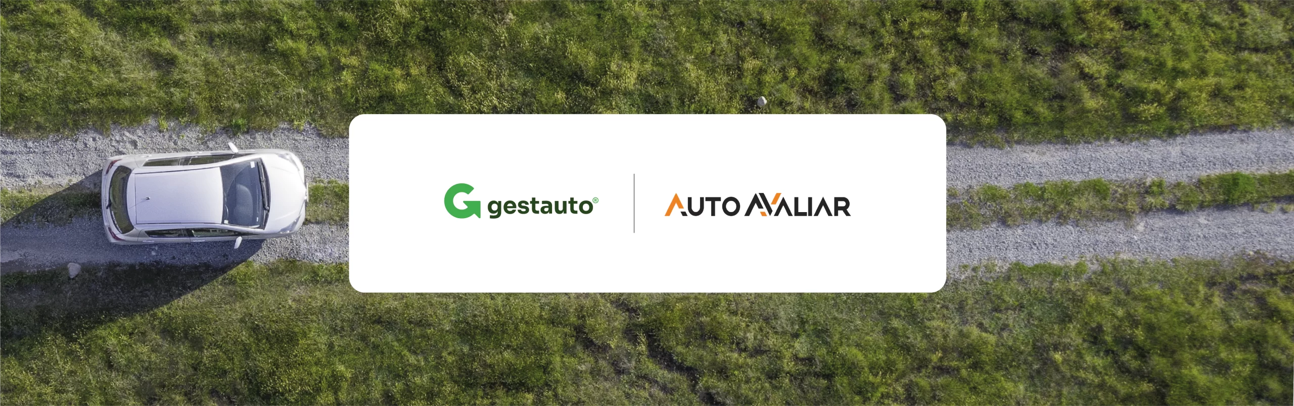 Parceria Auto Avaliar e Gestauto – Plataforma Gestauto